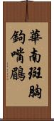 華南斑胸鉤嘴鶥 Scroll