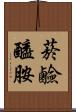 菸鹼醯胺 Scroll