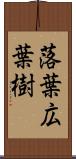 落葉広葉樹 Scroll