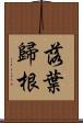 落葉歸根 Scroll