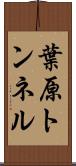 葉原トンネル Scroll