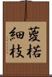 葼 Scroll