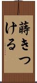蒔きつける Scroll