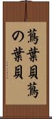 蔦葉貝 Scroll