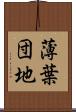 薄葉団地 Scroll
