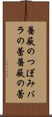 薔薇のつぼみ Scroll
