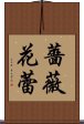 薔薇花蕾 Scroll
