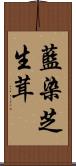 藍染芝生茸 Scroll