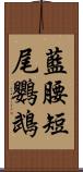 藍腰短尾鸚鵡 Scroll