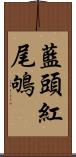 藍頭紅尾鴝 Scroll