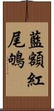 藍額紅尾鴝 Scroll