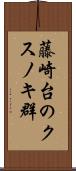 藤崎台のクスノキ群 Scroll