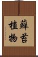 蘚苔植物 Scroll