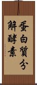 蛋白質分解酵素 Scroll