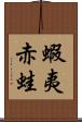 蝦夷赤蛙 Scroll