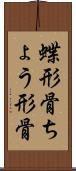 蝶形骨 Scroll