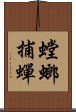 螳螂捕蟬 Scroll