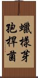 蠟樣芽孢桿菌 Scroll