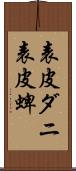 表皮ダニ Scroll