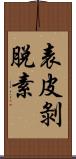 表皮剝脫素 Scroll