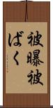 被曝 Scroll