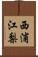 西浦江梨 Scroll