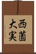 西薗大実 Scroll