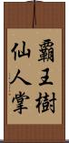 覇王樹 Scroll