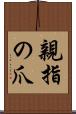 親指の爪 Scroll