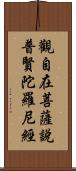 觀自在菩薩說普賢陀羅尼經 Scroll