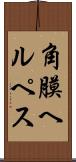 角膜ヘルペス Scroll