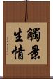 觸景生情 Scroll