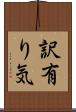 訳有り気 Scroll