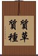 質草 Scroll
