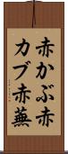 赤かぶ Scroll