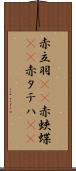 赤立羽(rK) Scroll
