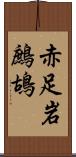 赤足岩鷓鴣 Scroll