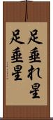 足垂れ星 Scroll