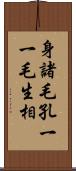 身諸毛孔一一毛生相 Scroll