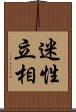 迷性立相 Scroll