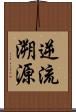 逆流溯源 Scroll