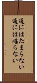 通にはたまらない Scroll