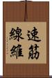 速筋線維 Scroll