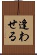 逢わせる Scroll