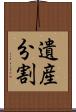 遺産分割 Scroll