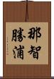 那智勝浦 Scroll