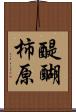醍醐柿原 Scroll