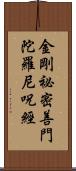 金剛祕密善門陀羅尼呪經 Scroll