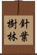 針葉樹林 Scroll