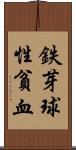 鉄芽球性貧血 Scroll